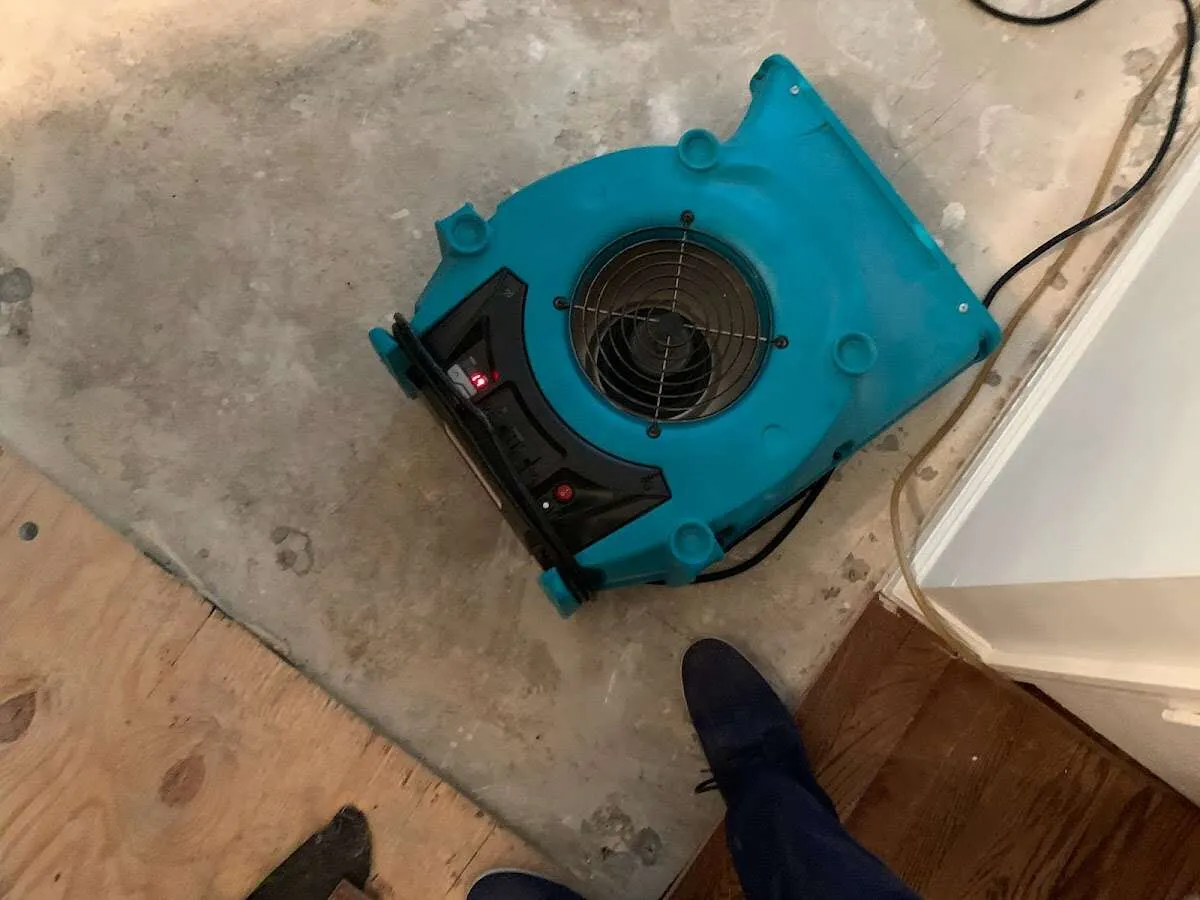 Air mover drying subfloor during Leak Detection & Repair in Oakdale
